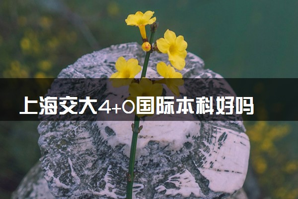上海交大4+0国际本科好吗 毕业后是什么学位