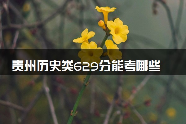 贵州历史类629分能考哪些大学 2025考生稳上的大学名单