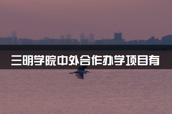 三明学院中外合作办学项目有哪些 要出国吗