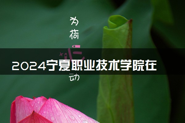 2024宁夏职业技术学院在内蒙古录取分数线 各专业分数及位次