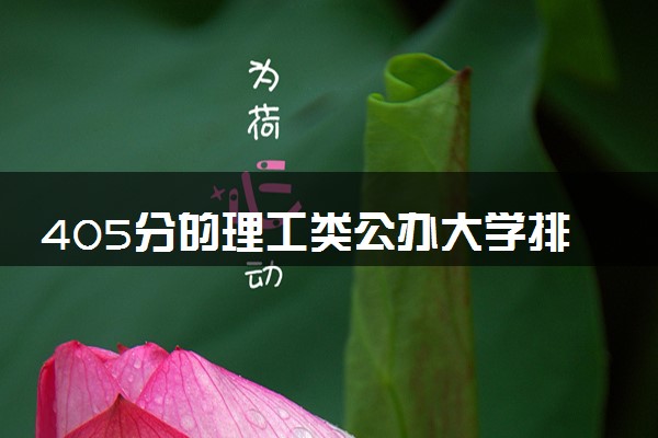 405分的理工类公办大学排行榜（2025考生参考)