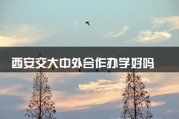 西安交大中外合作办学好吗 读完有什么用