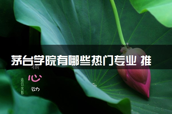 茅台学院有哪些热门专业 推荐的王牌专业