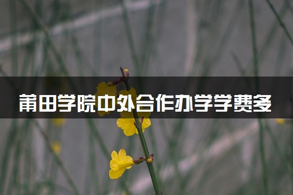莆田学院中外合作办学学费多少钱 各专业收费标准
