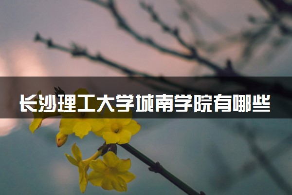 长沙理工大学城南学院有哪些热门专业 推荐的王牌专业