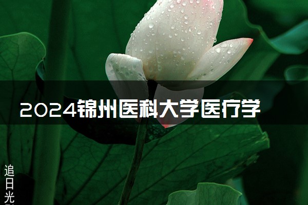 2024锦州医科大学医疗学院在贵州录取分数线 各专业分数及位次