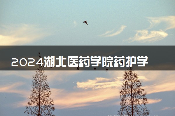 2024湖北医药学院药护学院各省录取分数线是多少 最低分及位次