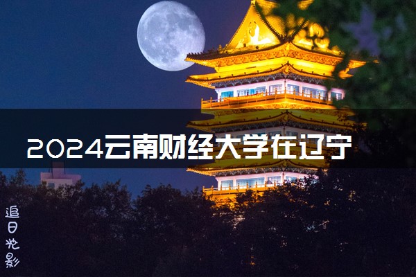 2024云南财经大学在辽宁录取分数线 各专业分数及位次