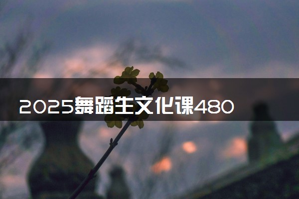 2025舞蹈生文化课480分能上威海职业学院吗