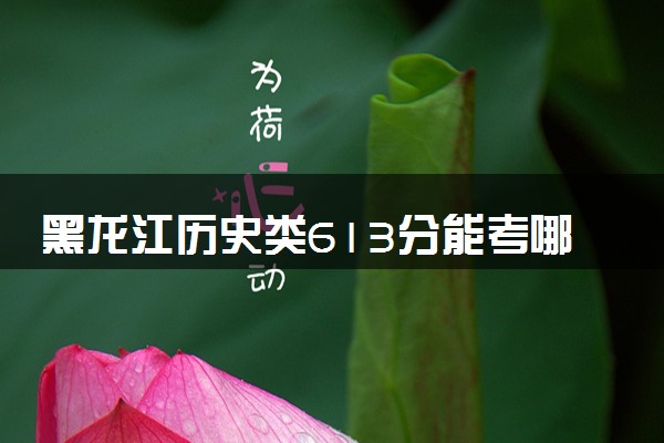 黑龙江历史类613分能考哪些大学 2025考生稳上的大学名单