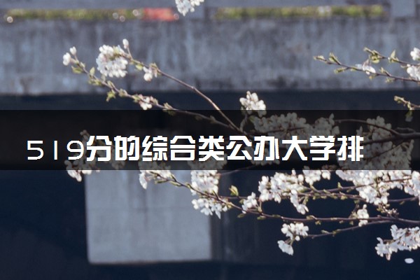 519分的综合类公办大学排行榜（2025考生参考)