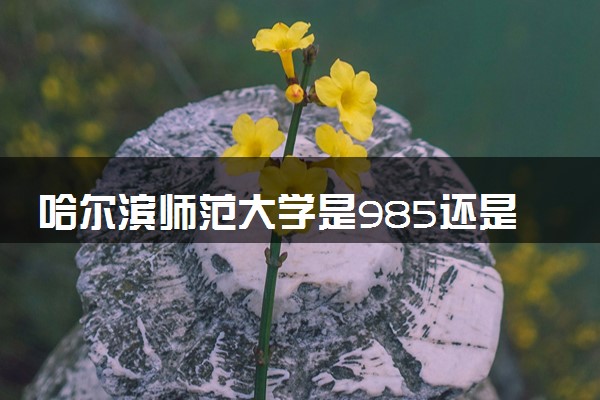 哈尔滨师范大学是985还是211 含金量怎么样