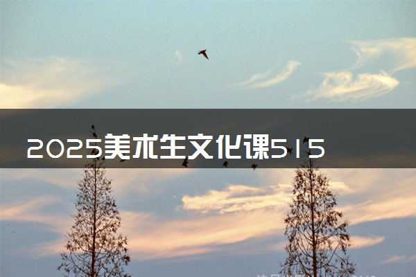 2025美术生文化课515分能上邢台学院吗