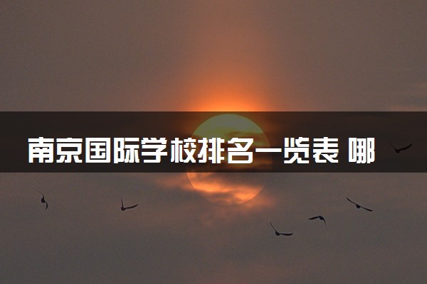 南京国际学校排名一览表 哪所最好