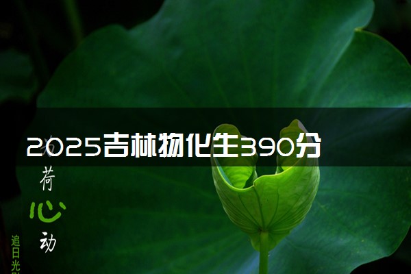 2025吉林物化生390分左右能上什么大学 可以报考的院校名单