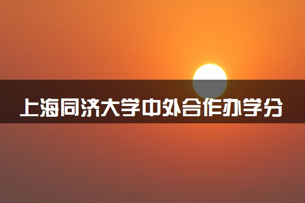 上海同济大学中外合作办学分数线高吗 最低多少分录取
