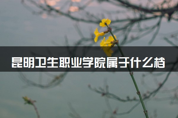 昆明卫生职业学院属于什么档次 学校好不好