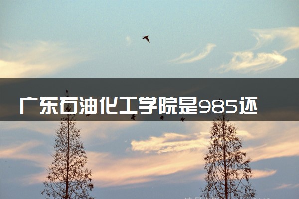 广东石油化工学院是985还是211 含金量怎么样