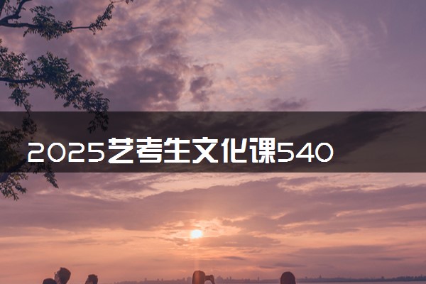 2025艺考生文化课540分能上遵义医科大学吗