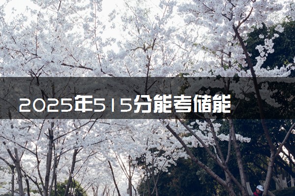 2025年515分能考储能科学与工程专业吗 515分储能科学与工程专业大学推荐