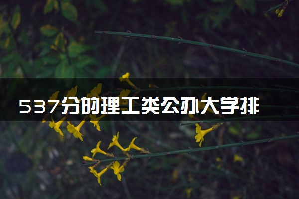 537分的理工类公办大学排行榜（2025考生参考)