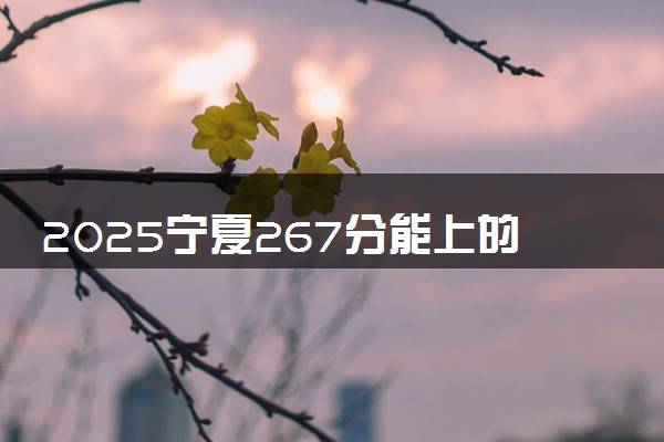 2025宁夏267分能上的大学有哪些 可以报考院校名单