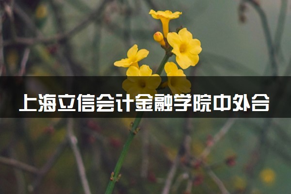 上海立信会计金融学院中外合作办学项目有哪些 要出国吗