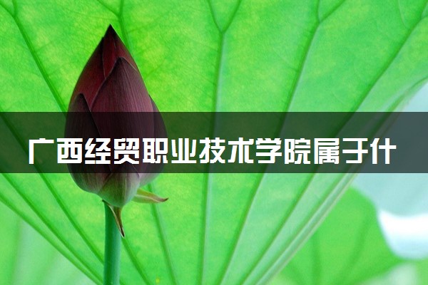 广西经贸职业技术学院属于什么档次 学校好不好