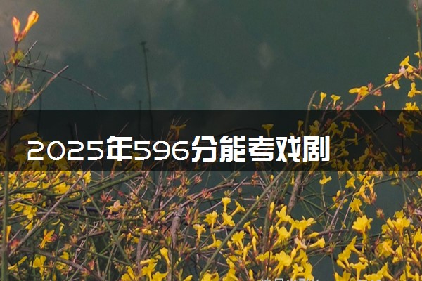 2025年596分能考戏剧影视文学专业吗 596分戏剧影视文学专业大学推荐