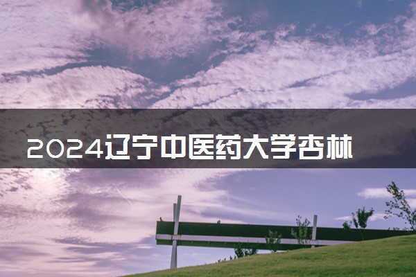2024辽宁中医药大学杏林学院在江西录取分数线 各专业分数及位次