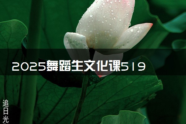 2025舞蹈生文化课519分能上河西学院吗