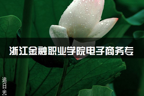浙江金融职业学院电子商务专业怎么样 录取分数线多少