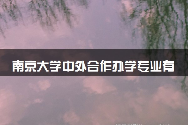 南京大学中外合作办学专业有哪些 好就业吗