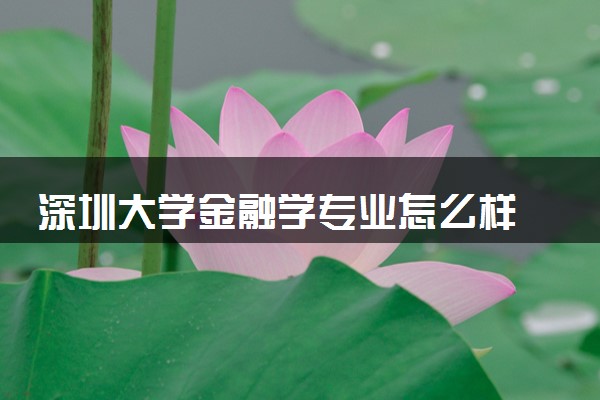 深圳大学金融学专业怎么样 录取分数线多少