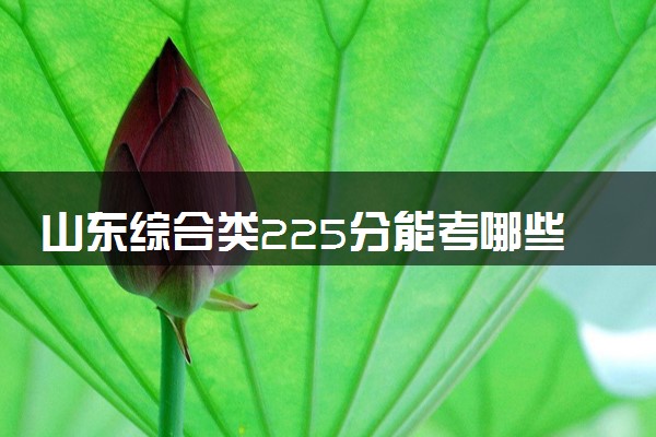 山东综合类225分能考哪些大学 2025考生稳上的大学名单