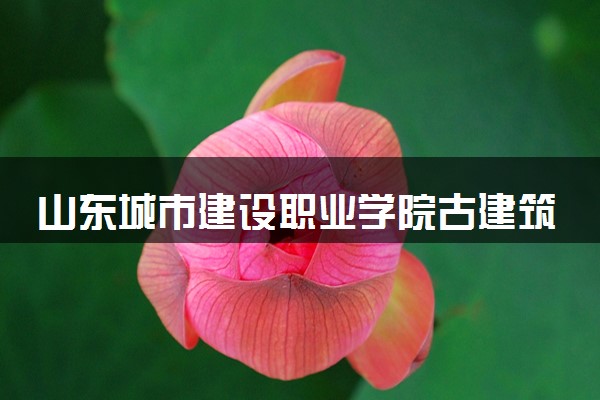 山东城市建设职业学院古建筑工程技术专业怎么样 录取分数线多少