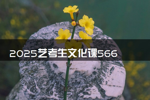 2025艺考生文化课566分能上湖南人文科技学院吗