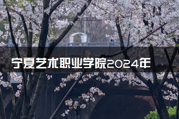 宁夏艺术职业学院2024年各省录取分数线 多少分能考上