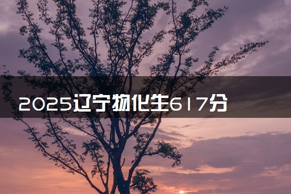 2025辽宁物化生617分左右能上什么大学 可以报考的院校名单