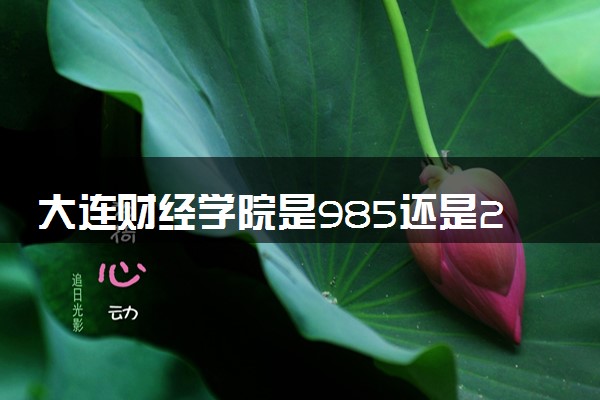 大连财经学院是985还是211 含金量怎么样