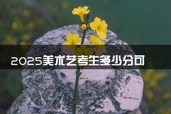 2025美术艺考生多少分可以报三亚航空旅游职业学院