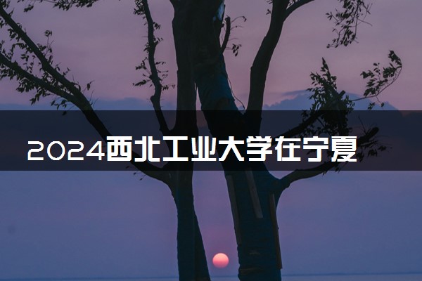 2024西北工业大学在宁夏录取分数线 各专业分数及位次