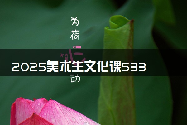2025美术生文化课533分能上聊城大学吗