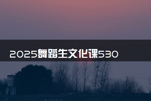 2025舞蹈生文化课530分能上云南经济管理学院吗