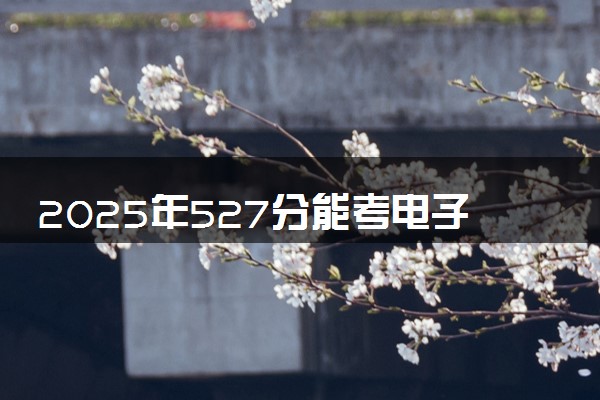 2025年527分能考电子商务专业吗 527分电子商务专业大学推荐