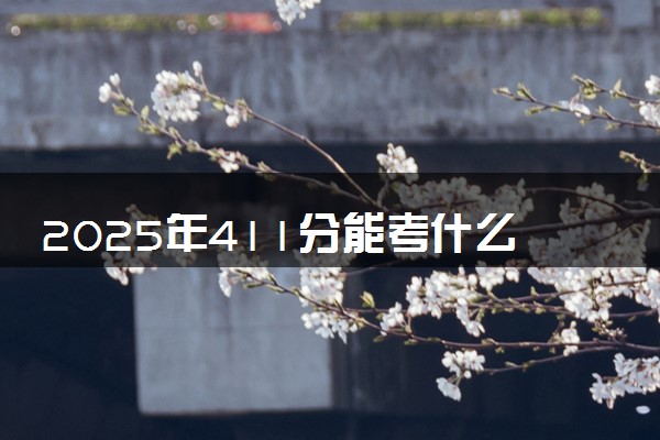 2025年411分能考什么艺术类大学 哪些大学值得报