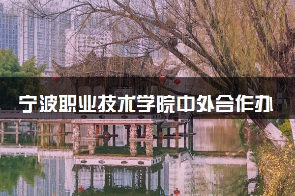 宁波职业技术学院中外合作办学学费多少钱 各专业收费标准