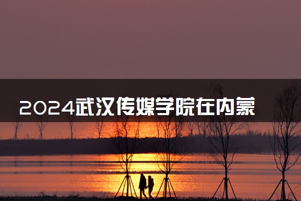 2024武汉传媒学院在内蒙古录取分数线 各专业分数及位次
