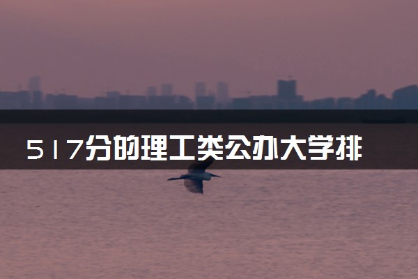 517分的理工类公办大学排行榜（2025考生参考)