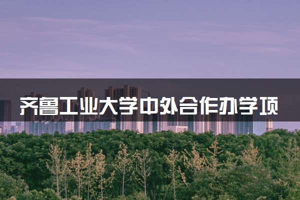 齐鲁工业大学中外合作办学项目有哪些 要出国吗